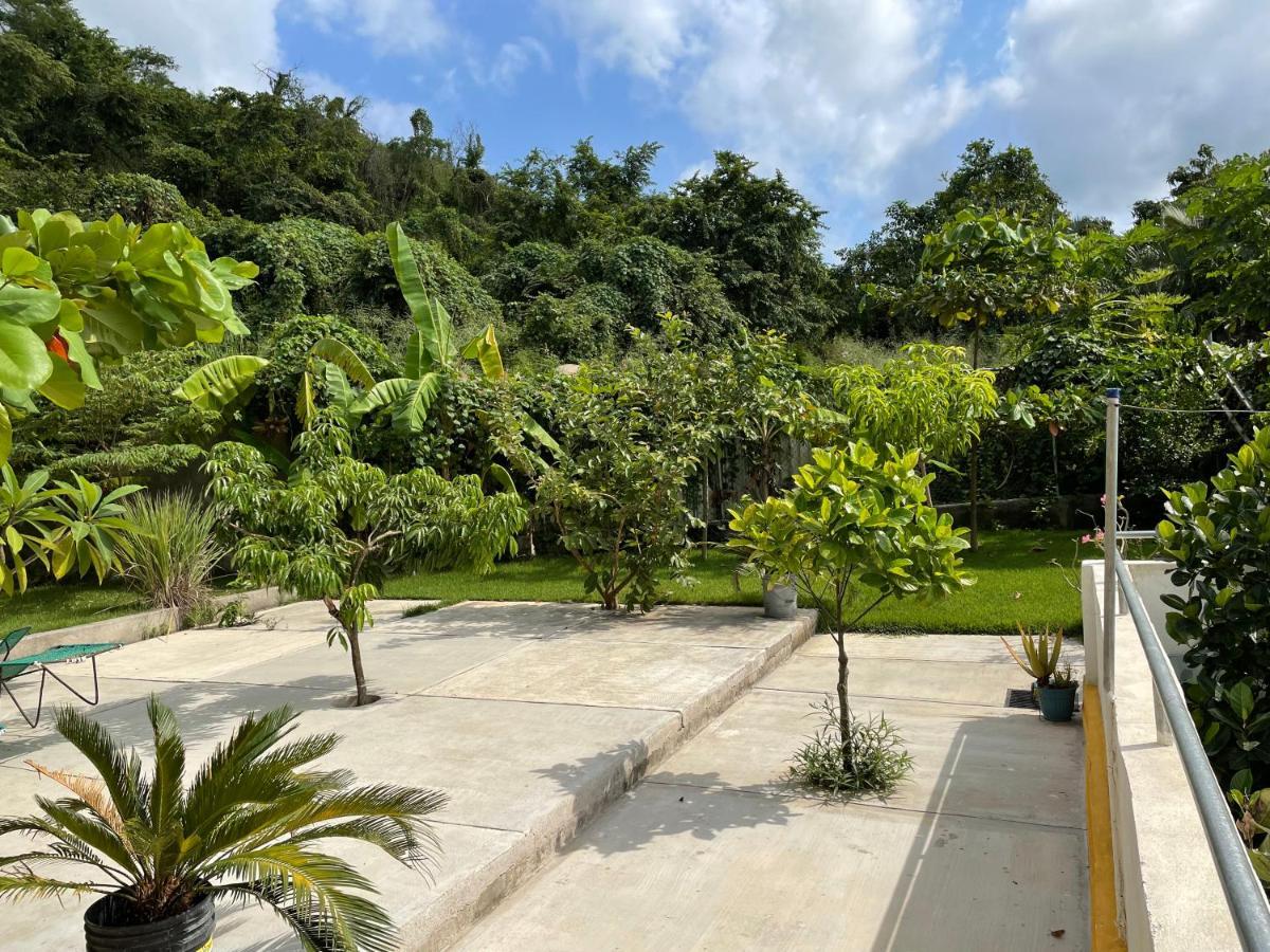 Amanecer Villa Sayulita Ngoại thất bức ảnh